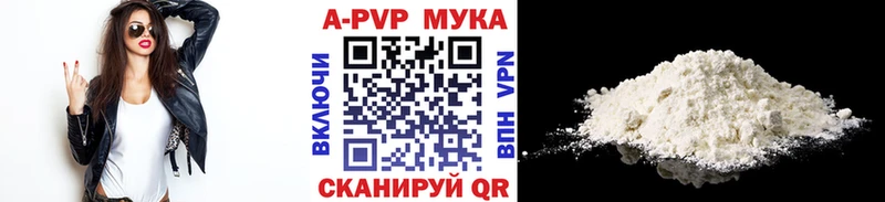 Альфа ПВП СК Шацк