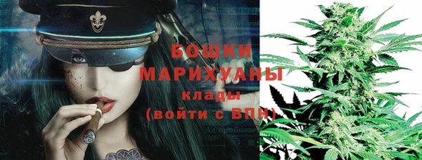 хмурый Абаза