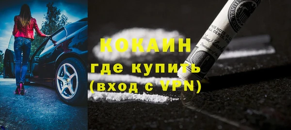 шишки Алексин