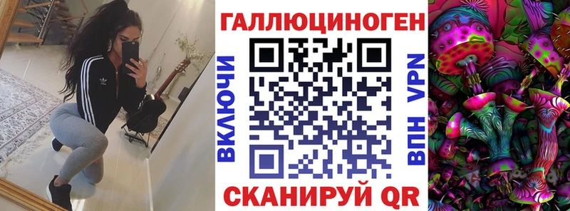 Галлюциногенные грибы Psilocybine cubensis  Шацк 